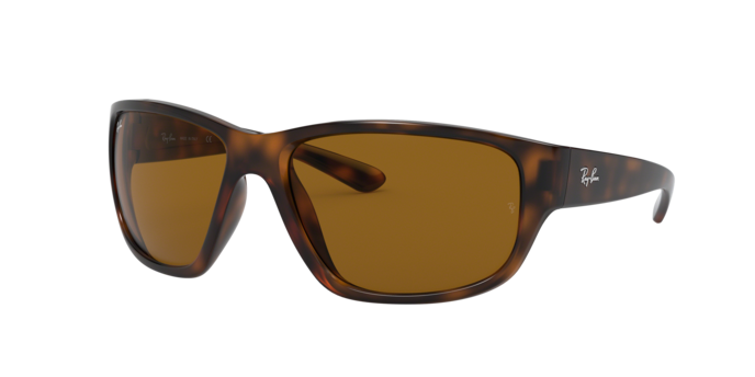 Ray-Ban RB4300 710/33  